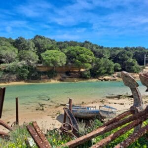 Tour calas y puerto pesquero de Conil