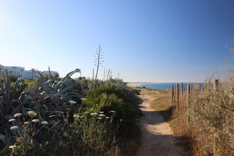 sendero-acantilados-05
